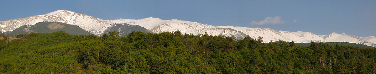 Ipek Kulahci- Home